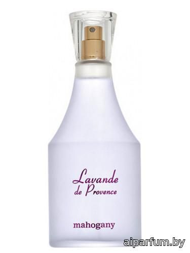 Lavande de Provence