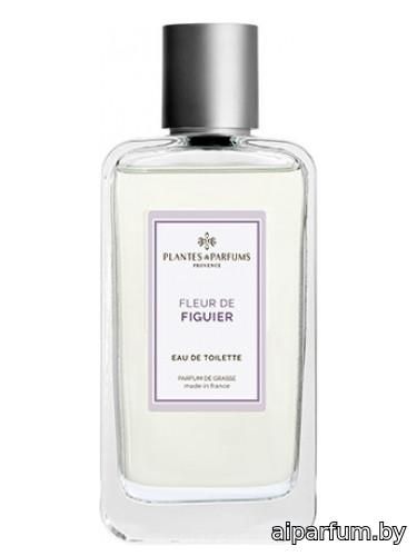 Fleur de Figuier