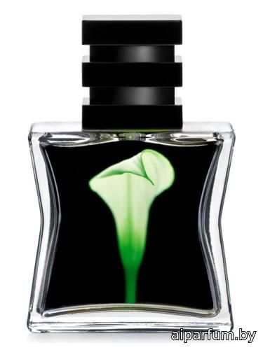 Nº 22