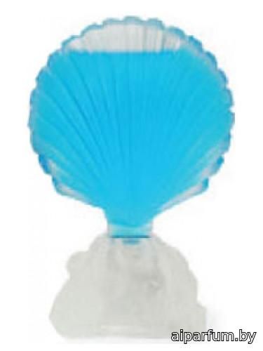 Shell