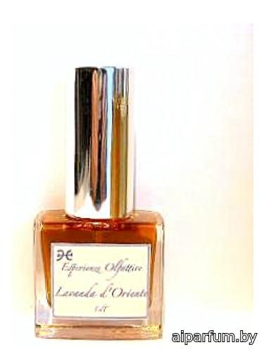 Lavanda d'Oriente