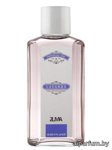Lavanda