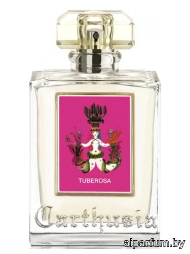Tuberosa