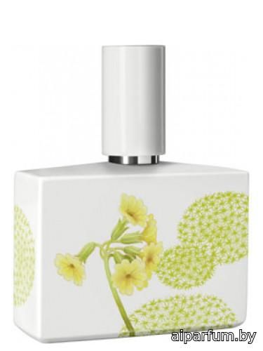 Bosque Limited Porcelain Edition
