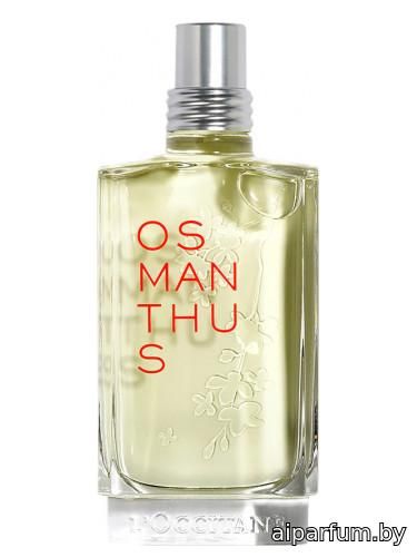 Osmanthus