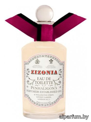 Zizonia