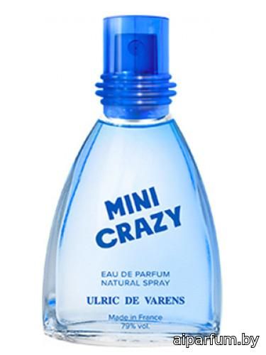 Mini Crazy