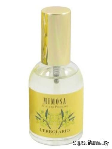 Mimosa