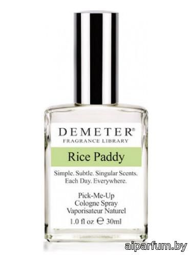 Rice Paddy