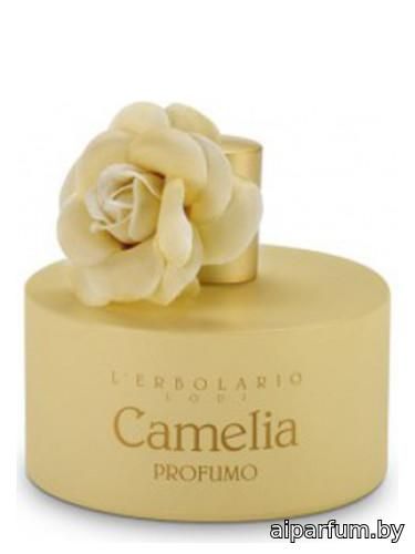 Camelia