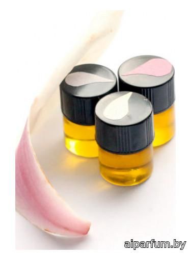 Magnolia Grove Perfume Trio