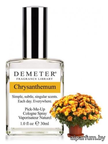 Chrysanthemum