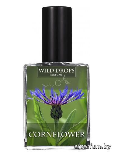 Cornflower