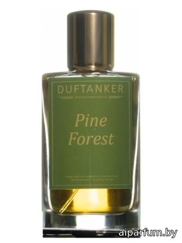 Pine Forest