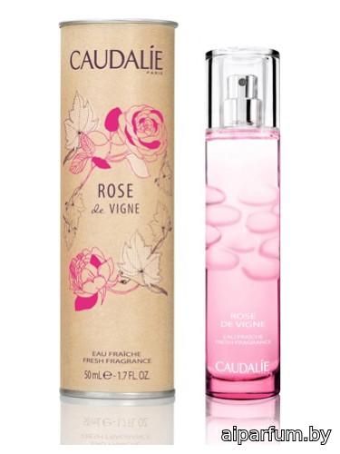 Rose de Vigne