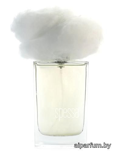 Nebbia Spessa