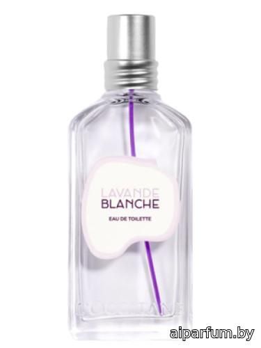 Lavande Blanche