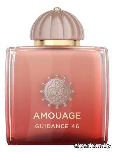 Guidance 46