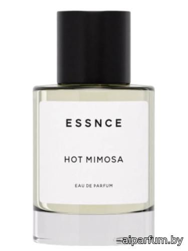 Hot Mimosa
