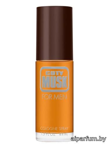 Coty Musk for Men