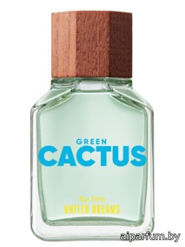 United Dreams Green Cactus For Him