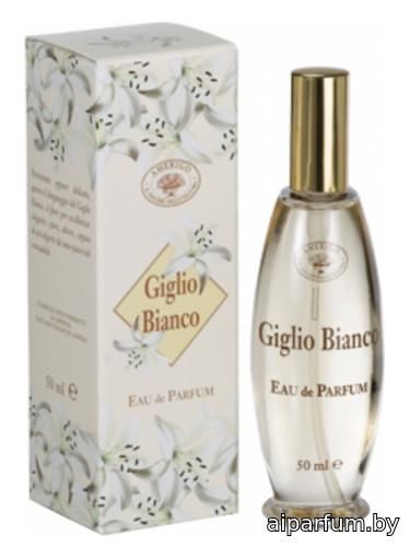 Giglio Bianco