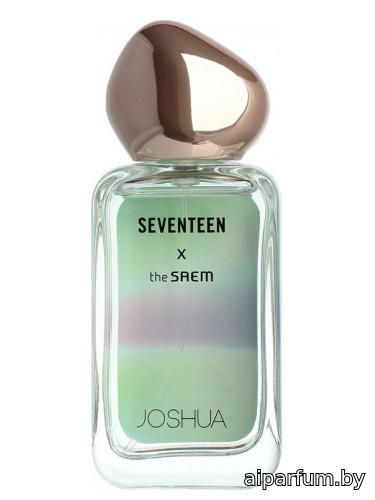Seventeen X Joshua