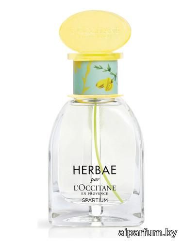 Herbae Spartium