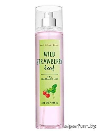 Wild Strawberry Leaf