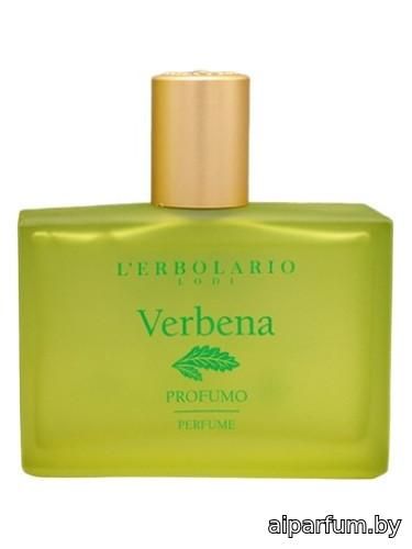 Verbena