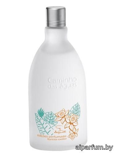 Edições Perfumadas Floresta Exótica