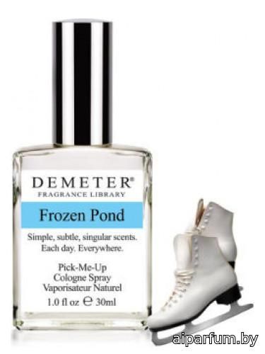 Frozen Pond