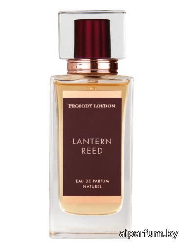 Lantern Reed