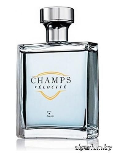 Champs Velocite