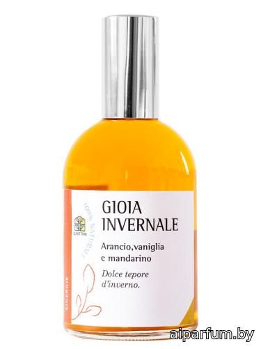 Gioia Invernale