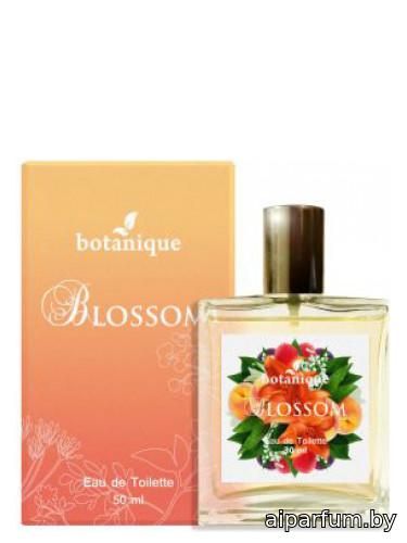 Blossom