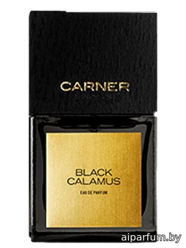 Black Calamus