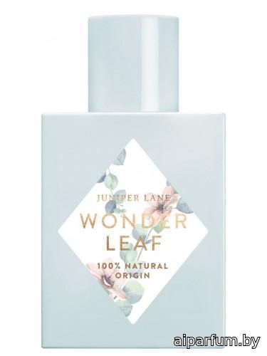 Wonder Leaf