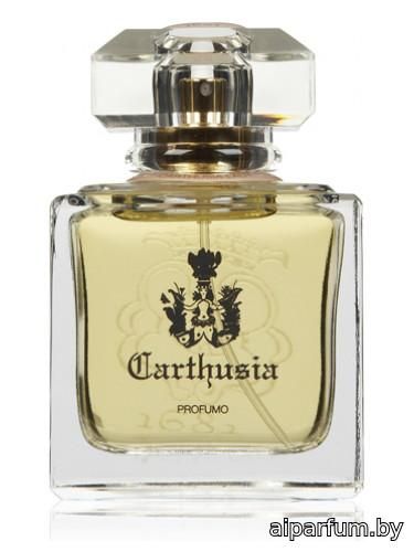 Carthusia Lady