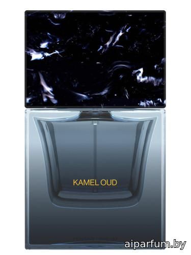 Kamel Oud