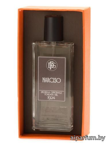 Narciso
