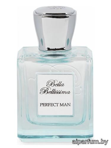 Perfect Man