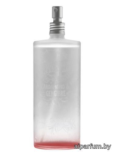 Cardamomo & Gengibre