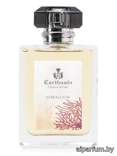 Corallium