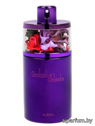 Orchidee Celeste