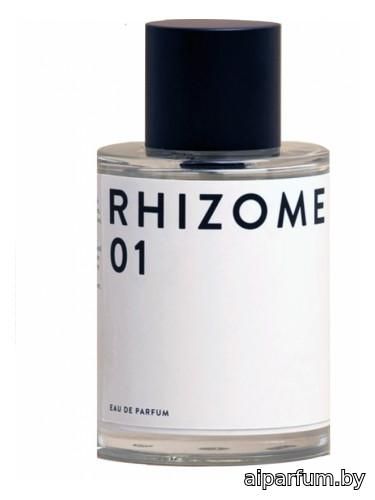 Rhizome 01