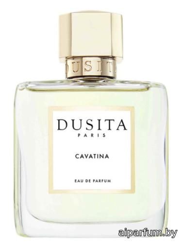 Cavatina