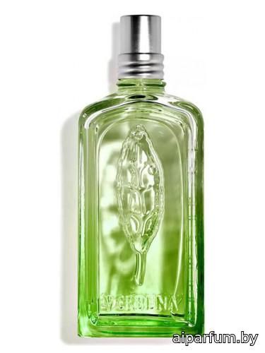 Verveine Cactus