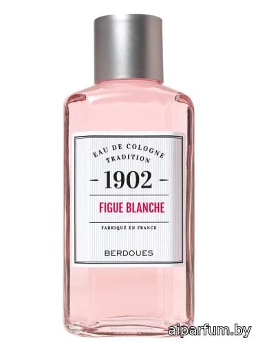 1902 Figue Blanche