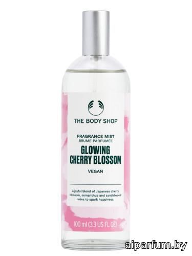 Glowing Cherry Blossom